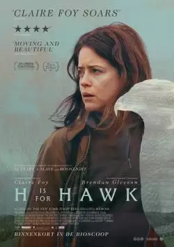 HIsForHawkFilmspecial_134181268466714313_big-cine_deskt.webp