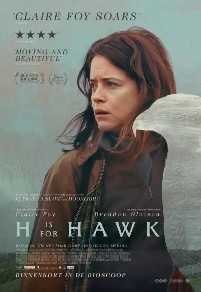 HIsForHawkFilmspecial_134181268466714313_big-cine_deskt.webp