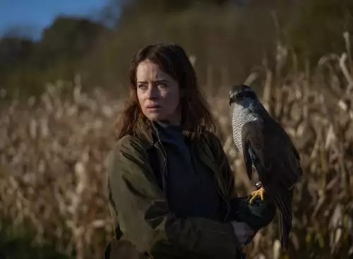 HIsForHawkFilmspecial_134181268485664963_big-cine_deskt.webp